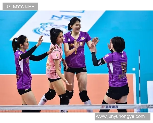 陈伟独家分享排球心得与技巧助你提升球技的全面指南